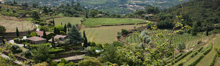 Quinta de Covela