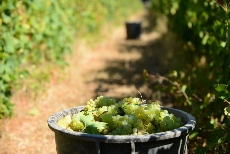 Quinta da Avessada