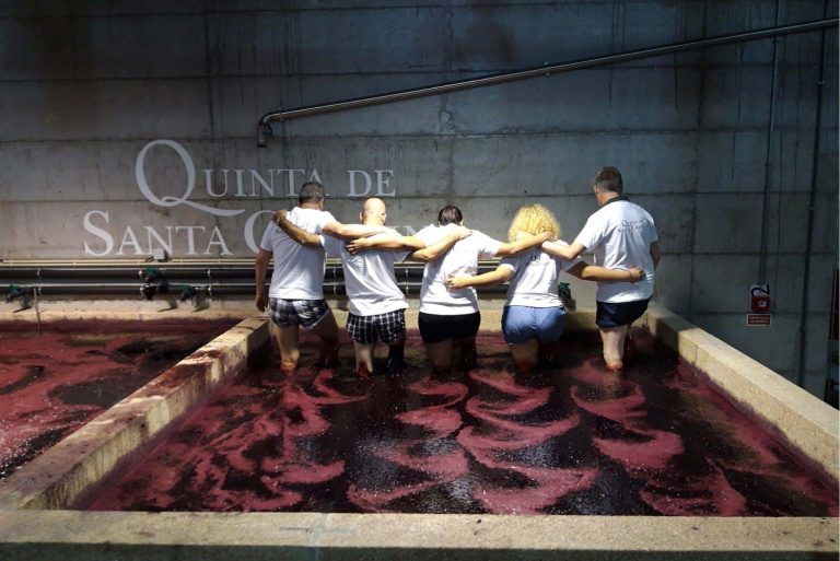 Quinta de Santa Cristina