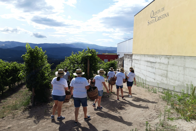 Quinta de Santa Cristina